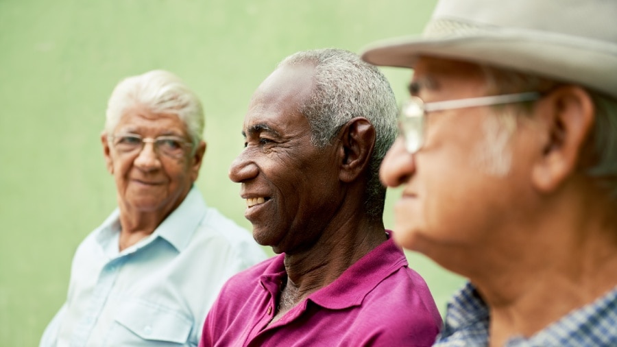 Group of old black and caucasian men talking in park