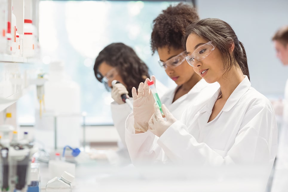 Scientists working on a lab