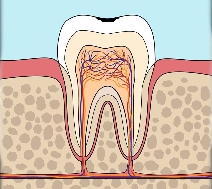 Disease Progression