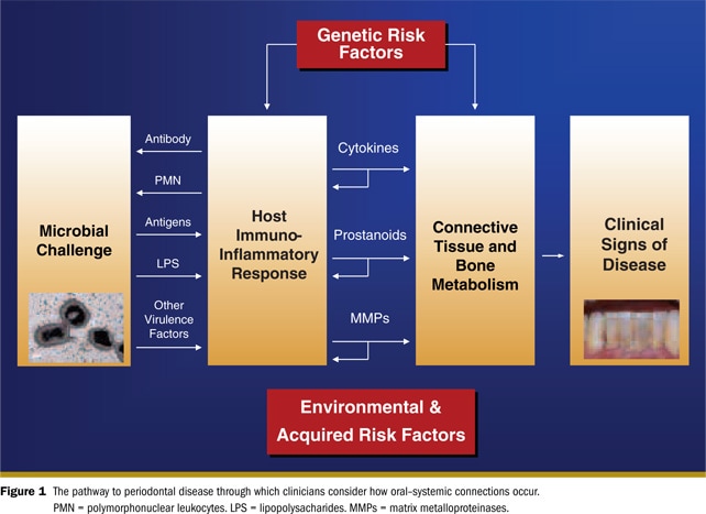 Genetic risk factors