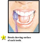 How to brush your teeth
