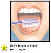 How to brush your teeth