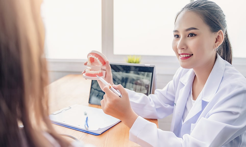 Happy smiling dentist doctor examining teeth model 